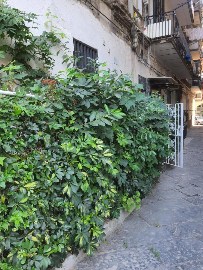 Casanova 2 Daire Napoli Dış mekan fotoğraf